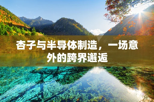 杏子与半导体制造，一场意外的跨界邂逅