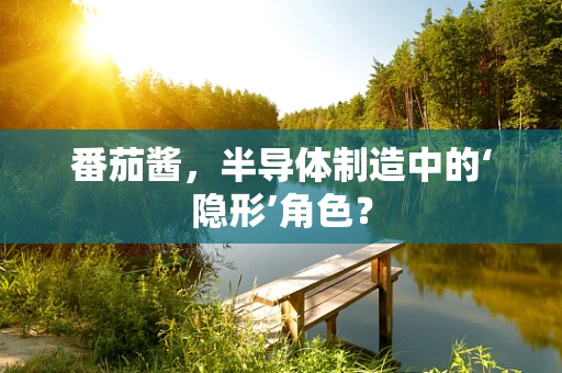 番茄酱，半导体制造中的‘隐形’角色？