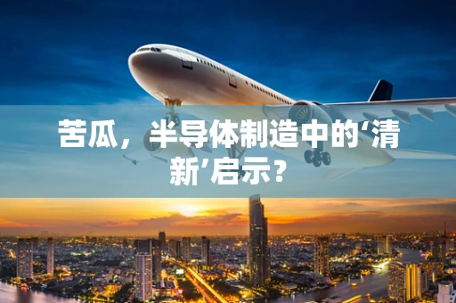 苦瓜，半导体制造中的‘清新’启示？