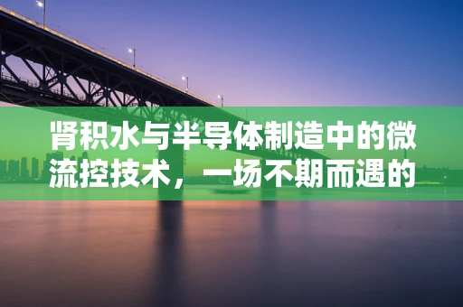 肾积水与半导体制造中的微流控技术，一场不期而遇的跨界思考