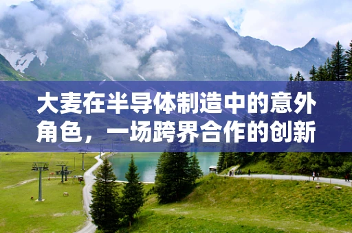 大麦在半导体制造中的意外角色，一场跨界合作的创新启示？