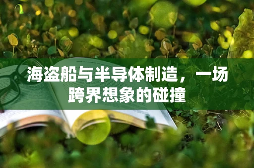 海盗船与半导体制造，一场跨界想象的碰撞