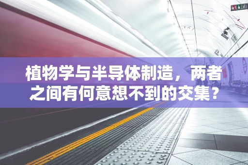 植物学与半导体制造，两者之间有何意想不到的交集？