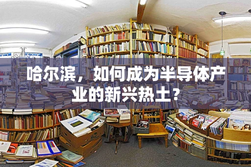 哈尔滨，如何成为半导体产业的新兴热土？