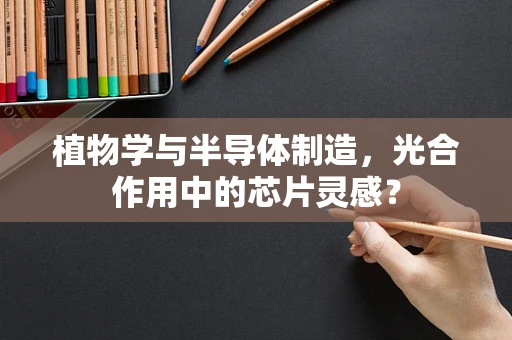 植物学与半导体制造，光合作用中的芯片灵感？