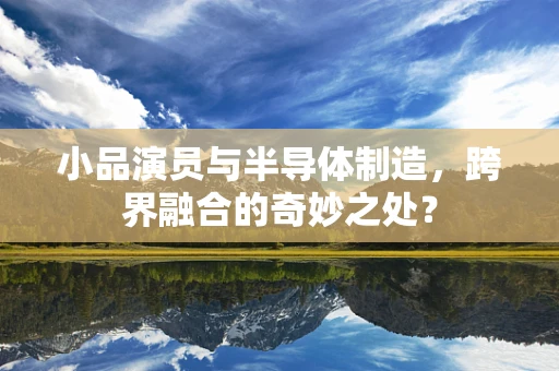 小品演员与半导体制造，跨界融合的奇妙之处？