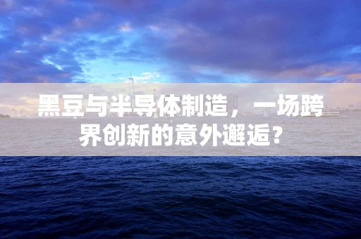 黑豆与半导体制造，一场跨界创新的意外邂逅？