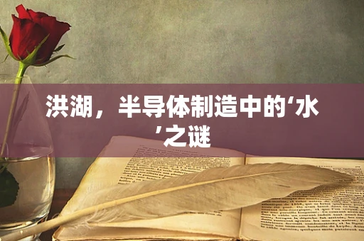 洪湖，半导体制造中的‘水’之谜
