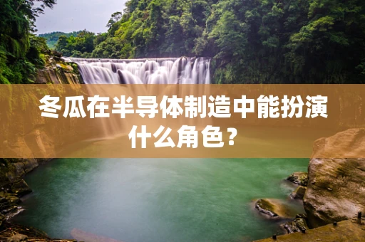 冬瓜在半导体制造中能扮演什么角色？