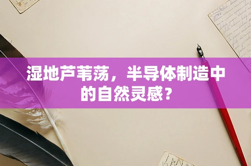 湿地芦苇荡，半导体制造中的自然灵感？