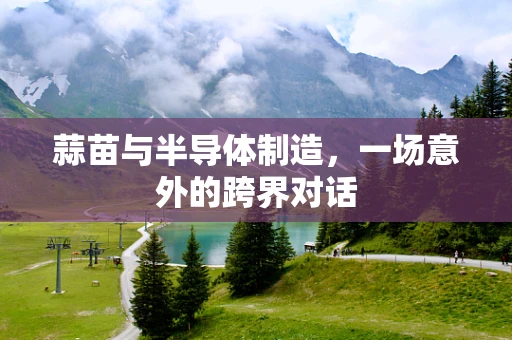 蒜苗与半导体制造，一场意外的跨界对话
