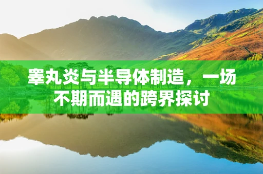 睾丸炎与半导体制造，一场不期而遇的跨界探讨