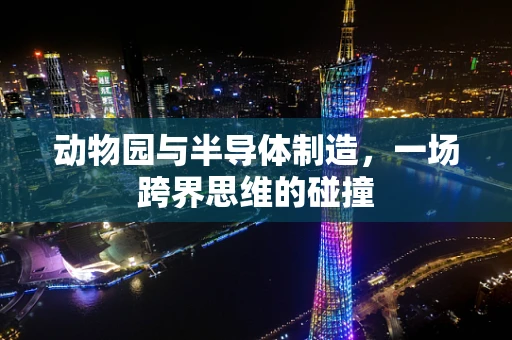 动物园与半导体制造，一场跨界思维的碰撞