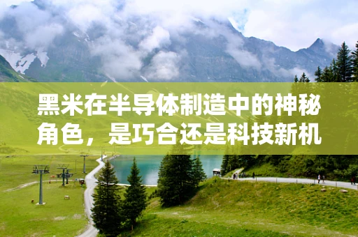 黑米在半导体制造中的神秘角色，是巧合还是科技新机遇？