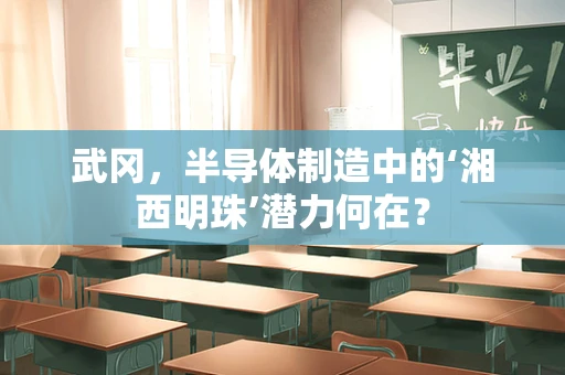 武冈，半导体制造中的‘湘西明珠’潜力何在？