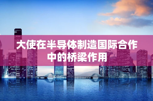 大使在半导体制造国际合作中的桥梁作用