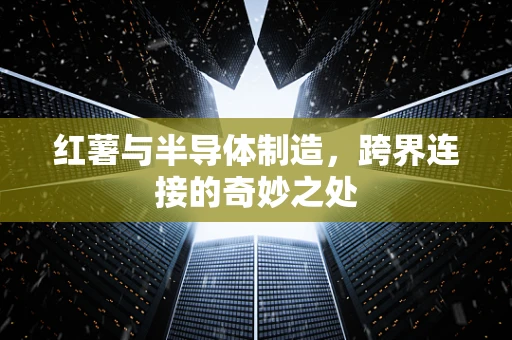 红薯与半导体制造，跨界连接的奇妙之处
