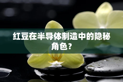 红豆在半导体制造中的隐秘角色？