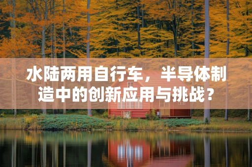 水陆两用自行车，半导体制造中的创新应用与挑战？