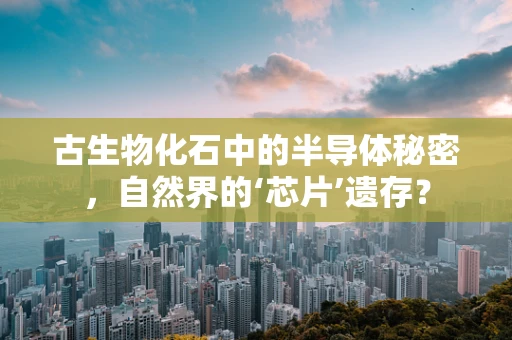 古生物化石中的半导体秘密，自然界的‘芯片’遗存？
