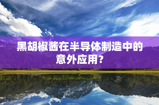 黑胡椒酱在半导体制造中的意外应用？