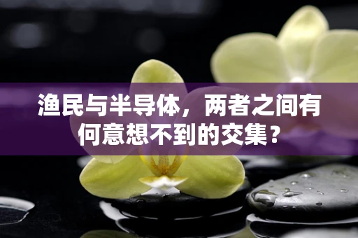 渔民与半导体，两者之间有何意想不到的交集？