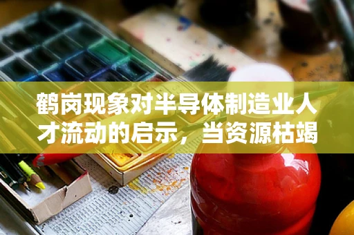 鹤岗现象对半导体制造业人才流动的启示，当资源枯竭型城市遭遇科技转型