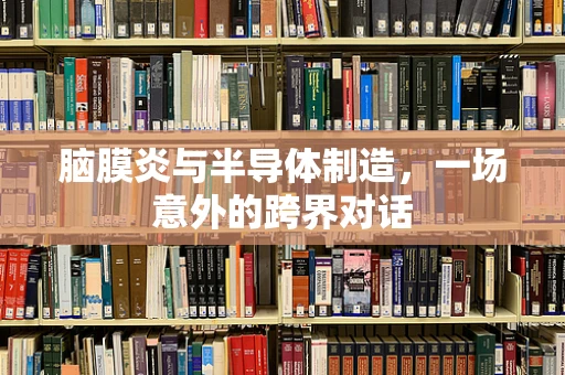 脑膜炎与半导体制造，一场意外的跨界对话