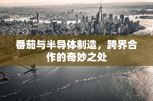 番茄与半导体制造，跨界合作的奇妙之处