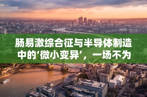 肠易激综合征与半导体制造中的‘微小变异’，一场不为人知的‘电路’故障？