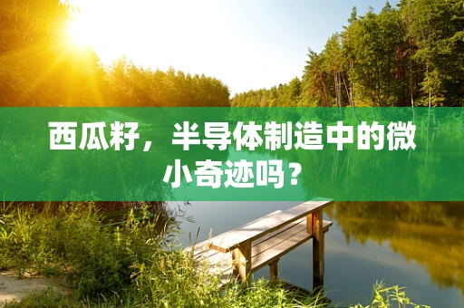 西瓜籽，半导体制造中的微小奇迹吗？