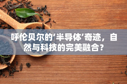 呼伦贝尔的‘半导体’奇迹，自然与科技的完美融合？