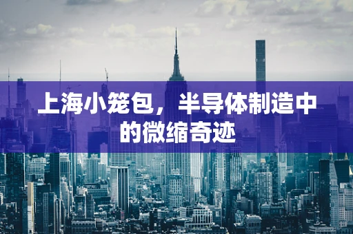 上海小笼包，半导体制造中的微缩奇迹