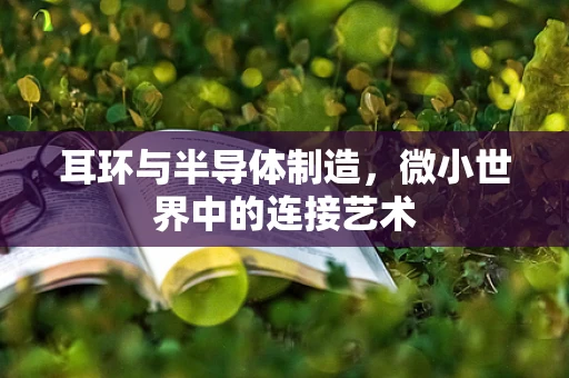 耳环与半导体制造，微小世界中的连接艺术