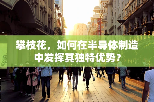 攀枝花，如何在半导体制造中发挥其独特优势？