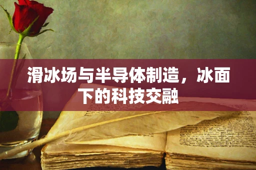 滑冰场与半导体制造，冰面下的科技交融