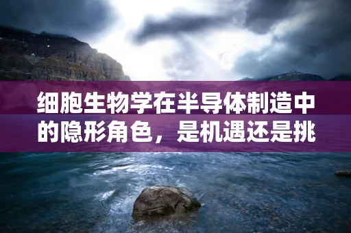 细胞生物学在半导体制造中的隐形角色，是机遇还是挑战？