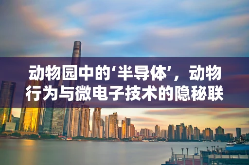 动物园中的‘半导体’，动物行为与微电子技术的隐秘联系？