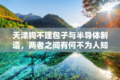天津狗不理包子与半导体制造，两者之间有何不为人知的关联？