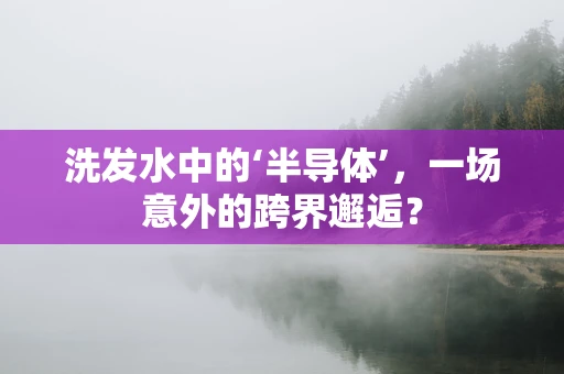 洗发水中的‘半导体’，一场意外的跨界邂逅？