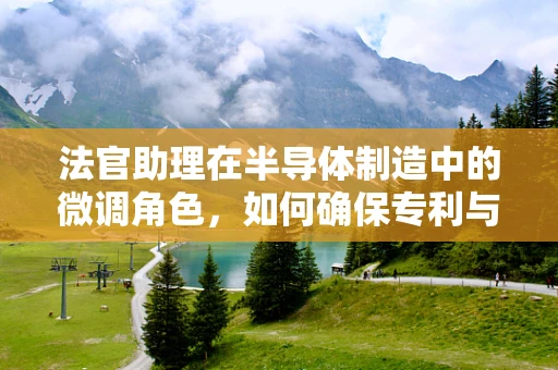 法官助理在半导体制造中的微调角色，如何确保专利与法律的精准对接？