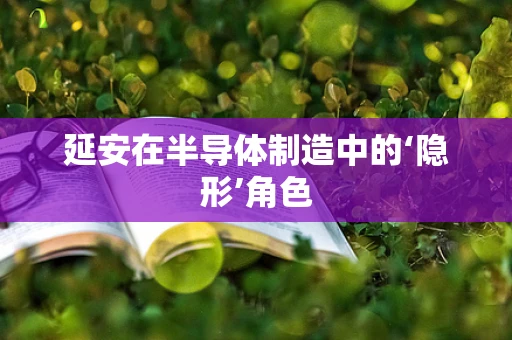 延安在半导体制造中的‘隐形’角色