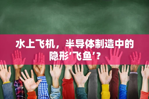 水上飞机，半导体制造中的隐形‘飞鱼’？