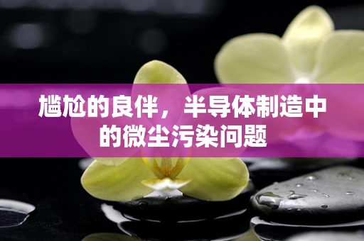 尴尬的良伴，半导体制造中的微尘污染问题