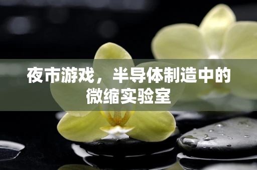 夜市游戏，半导体制造中的微缩实验室