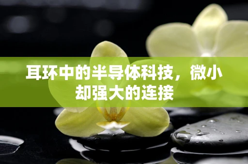 耳环中的半导体科技，微小却强大的连接