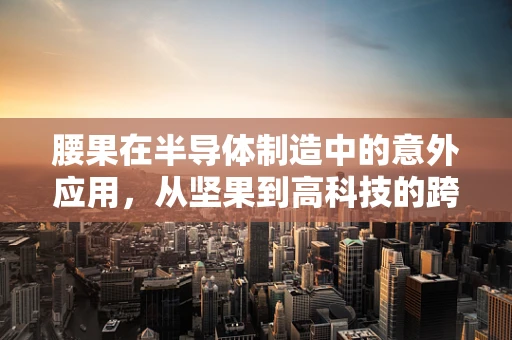 腰果在半导体制造中的意外应用，从坚果到高科技的跨界探索