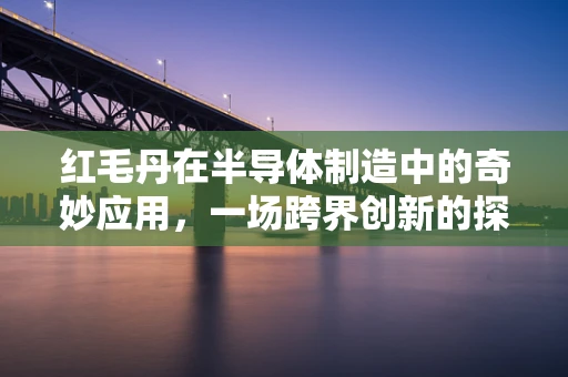 红毛丹在半导体制造中的奇妙应用，一场跨界创新的探索