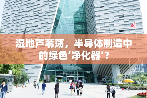 湿地芦苇荡，半导体制造中的绿色‘净化器’？