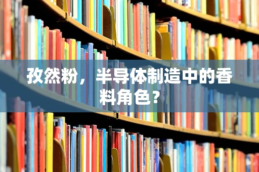 孜然粉，半导体制造中的香料角色？